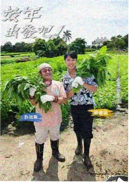 ck电影免费看-野外开饭吧综艺